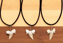 Load image into Gallery viewer, Real Shark Tooth Necklace
